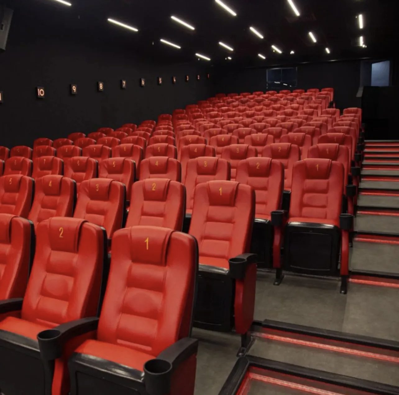 صندلی همایش